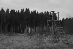 IMG_7527