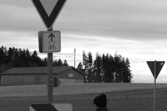 Schild
