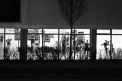boxen